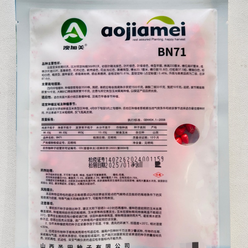 BN71玉米种子香甜糯型大棒绿皮大棒早熟白甜糯玉米种