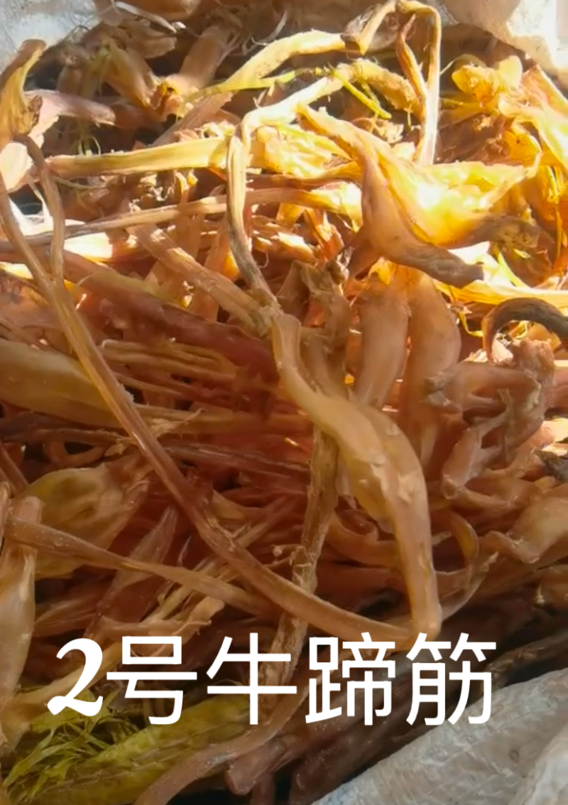 牛筋，干牛蹄筋，自然晒干，无硫
