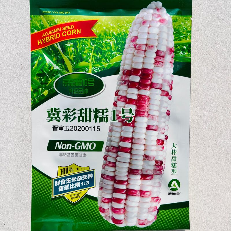 冀彩甜糯1号玉米种子高产抗病甜糯1:3粘甜香软鲜食玉米种