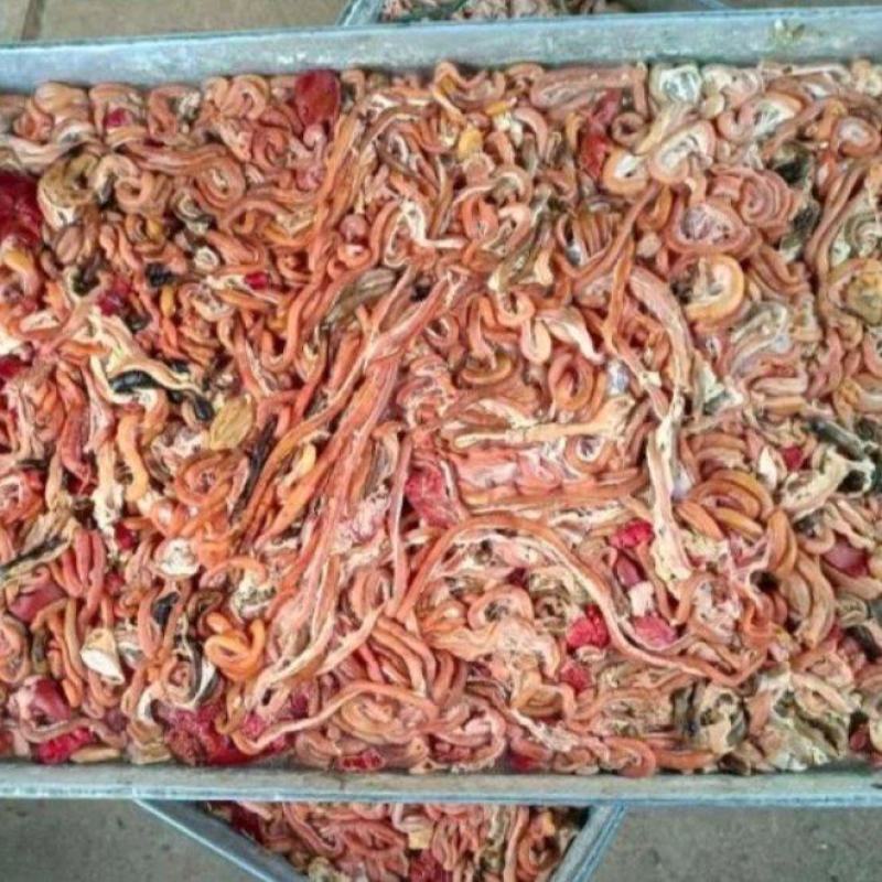 鸡肠冻品大板价格美丽欢迎咨询来电优