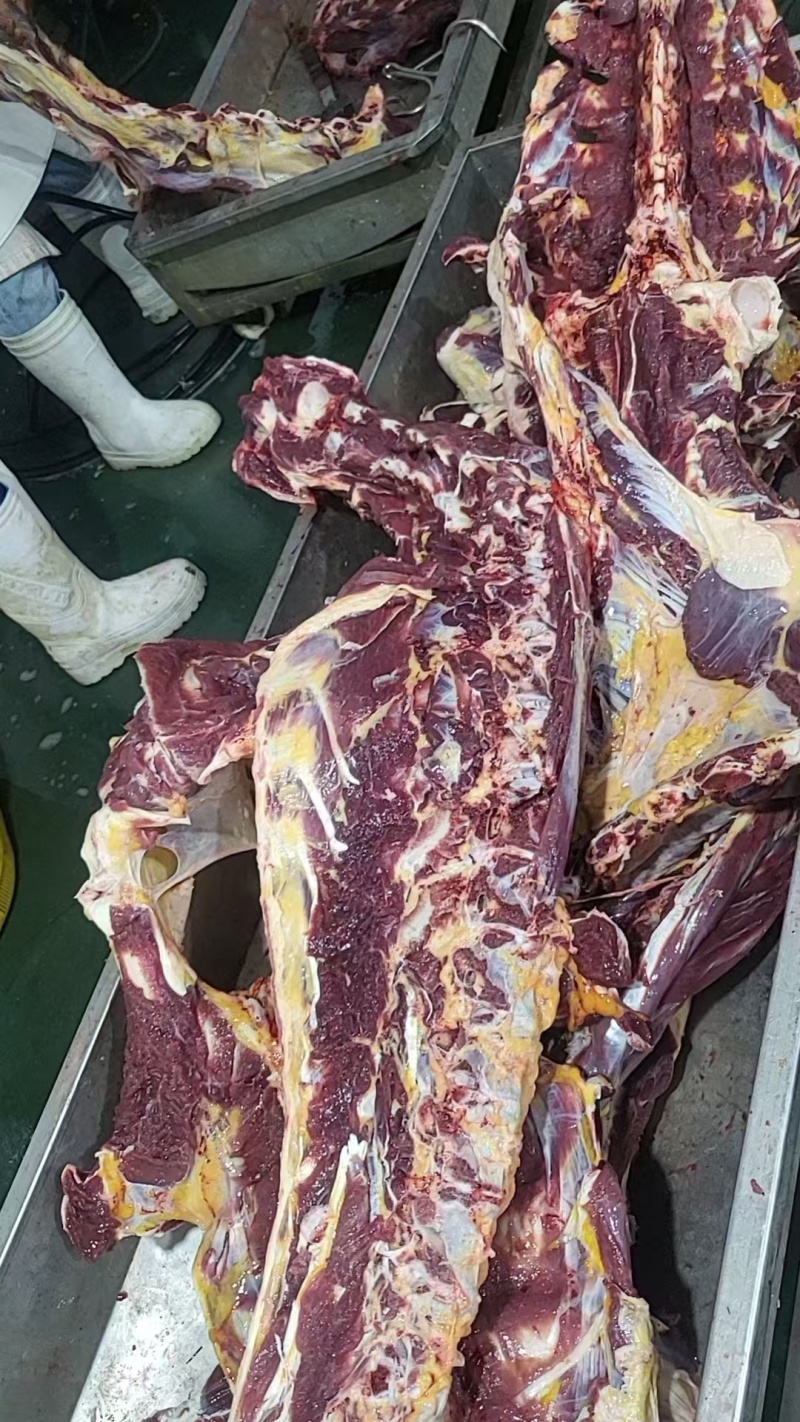 牛手把肉，全牛骨带肉率大，切好的，都是纯草地牛，价格便宜