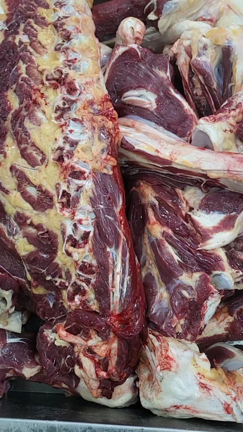 牛手把肉，全牛骨带肉率大，切好的，都是纯草地牛，价格便宜