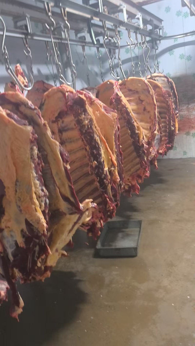 牛手把肉，全牛骨带肉率大，切好的，都是纯草地牛，价格便宜