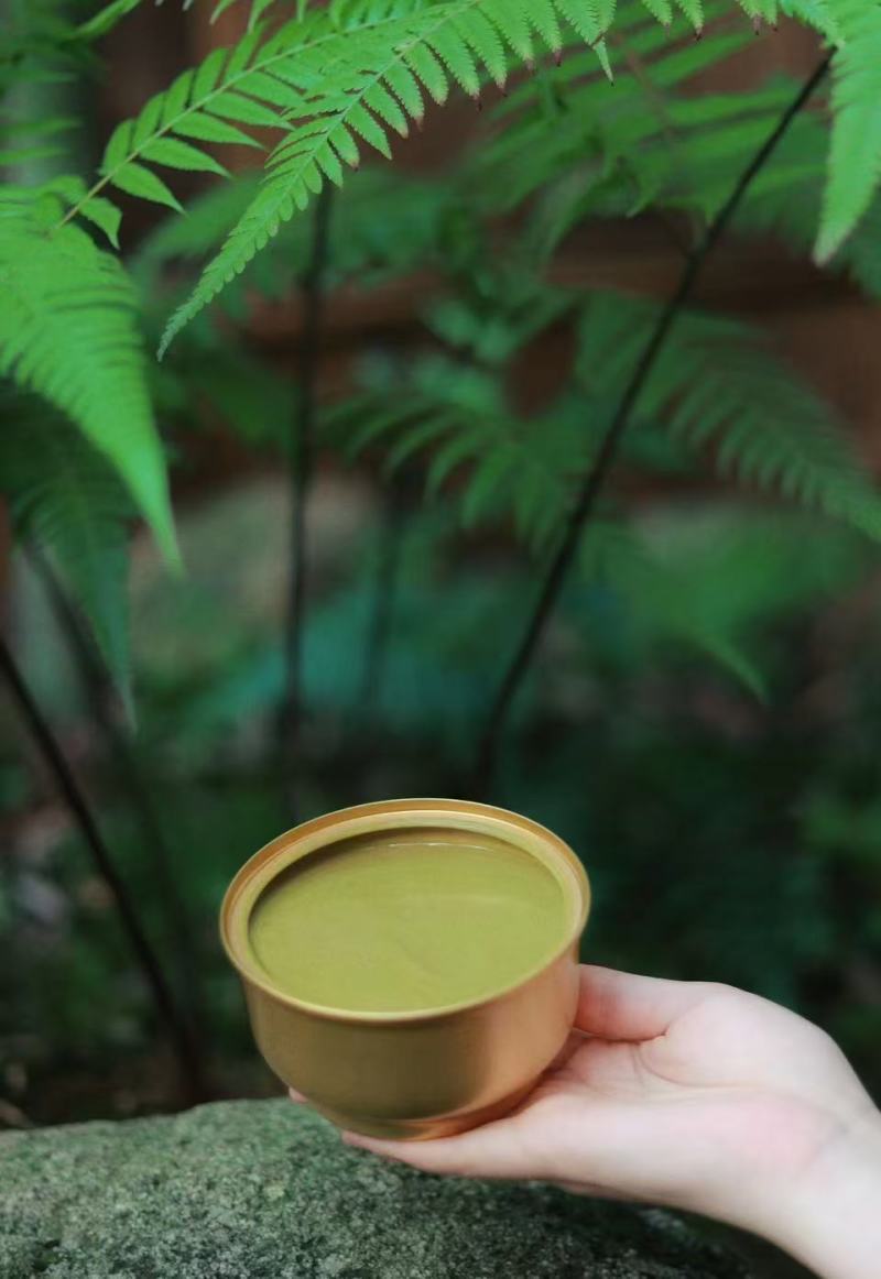 恭城油茶大量有货欢迎来电订购现货批发