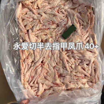 纯干切半凤爪鸡爪加工厂专用一级原料国产新鲜