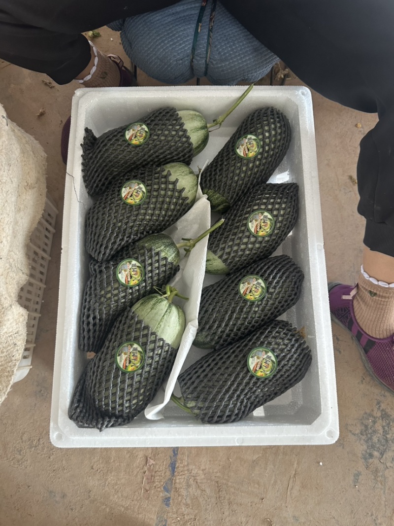 费县蜜源18大量供应大量接单产地直发