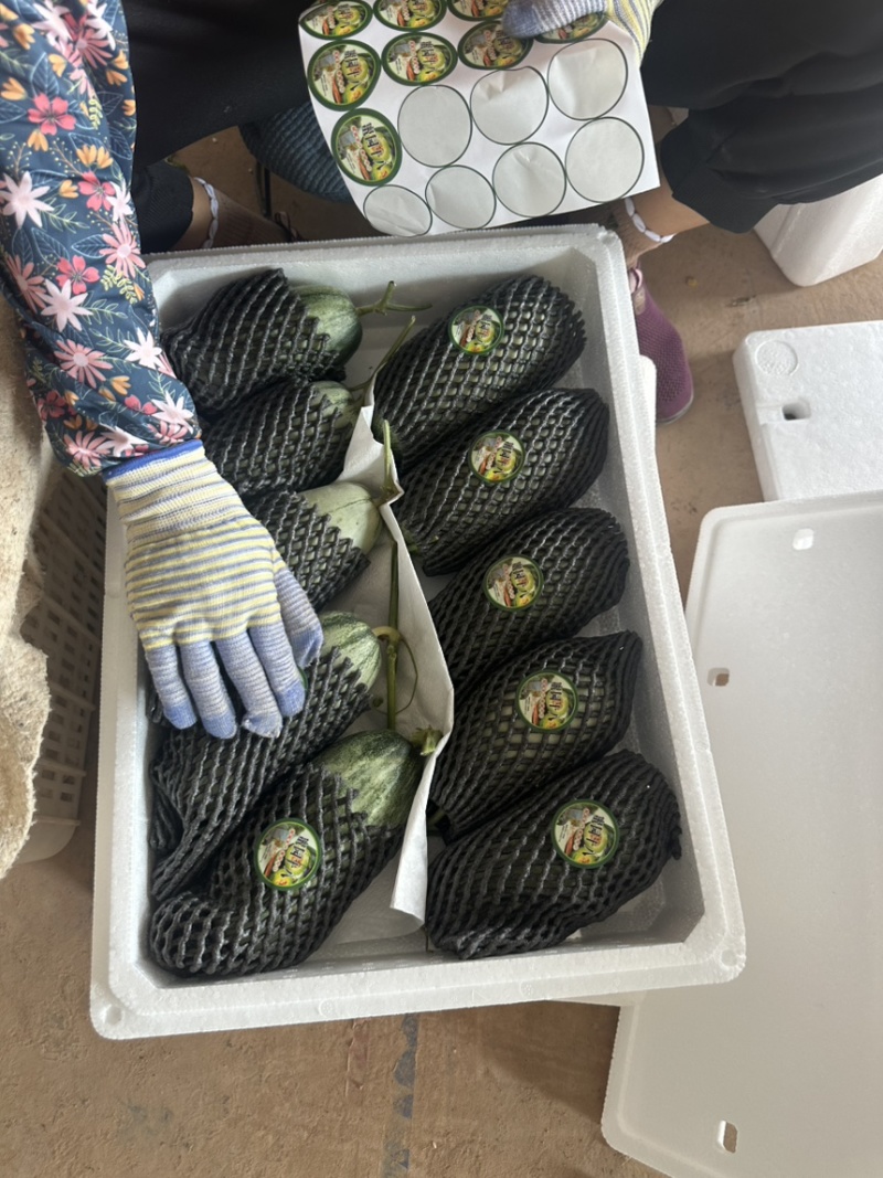 费县蜜源18大量供应大量接单产地直发