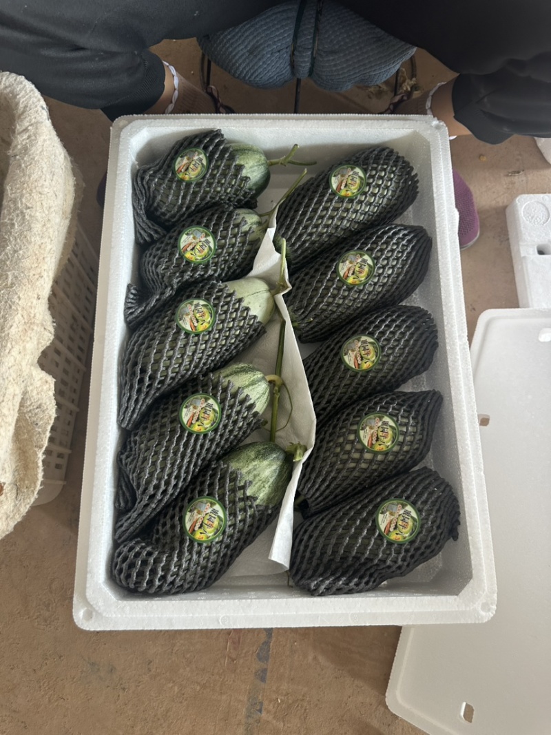 费县蜜源18大量供应大量接单产地直发
