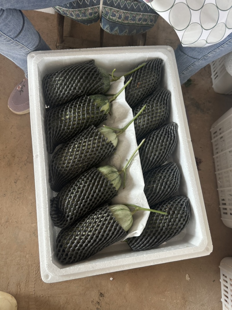 费县蜜源18大量供应大量接单产地直发
