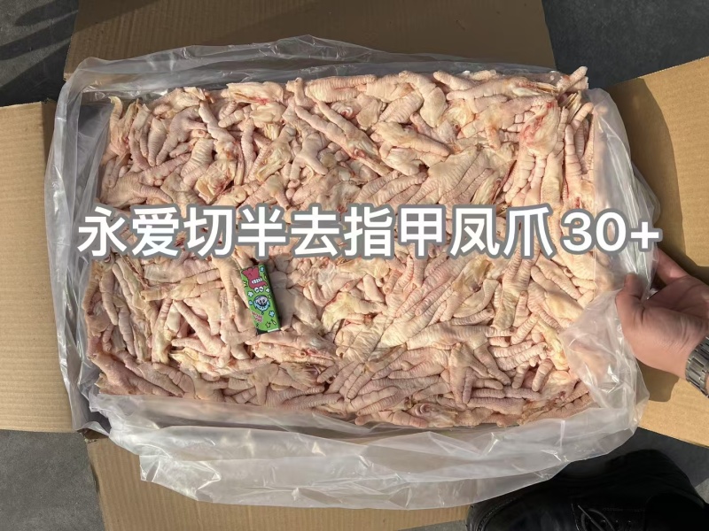 纯干切半凤爪鸡爪加工厂专用一级原料国产新鲜