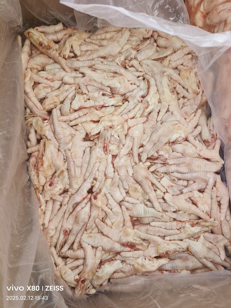 纯干切半凤爪鸡爪加工厂专用一级原料国产新鲜
