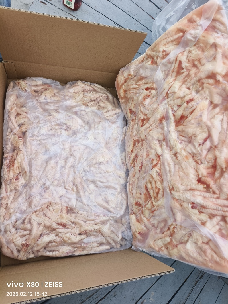 纯干切半凤爪鸡爪加工厂专用一级原料国产新鲜