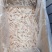 纯干切半凤爪鸡爪加工厂专用一级原料国产新鲜