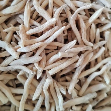 《麦冬》山麦冬产地一手货源颜色好颗粒饱满