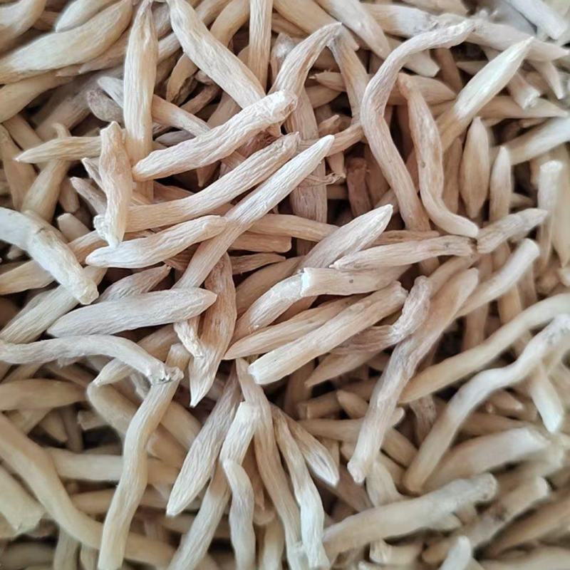 《麦冬》山麦冬产地一手货源颜色好颗粒饱满