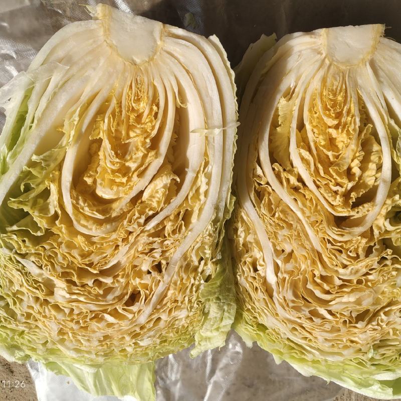 柔红白菜