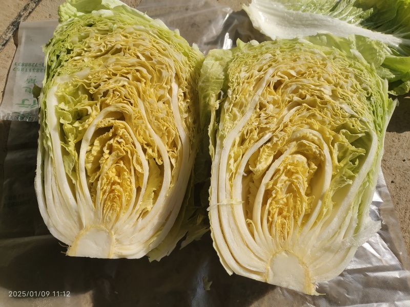 柔红白菜