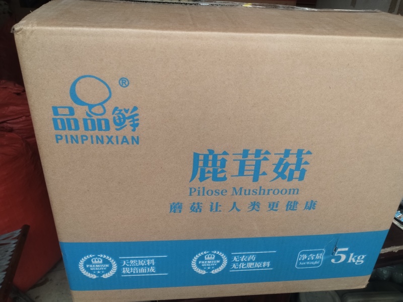 鹿茸菇干货