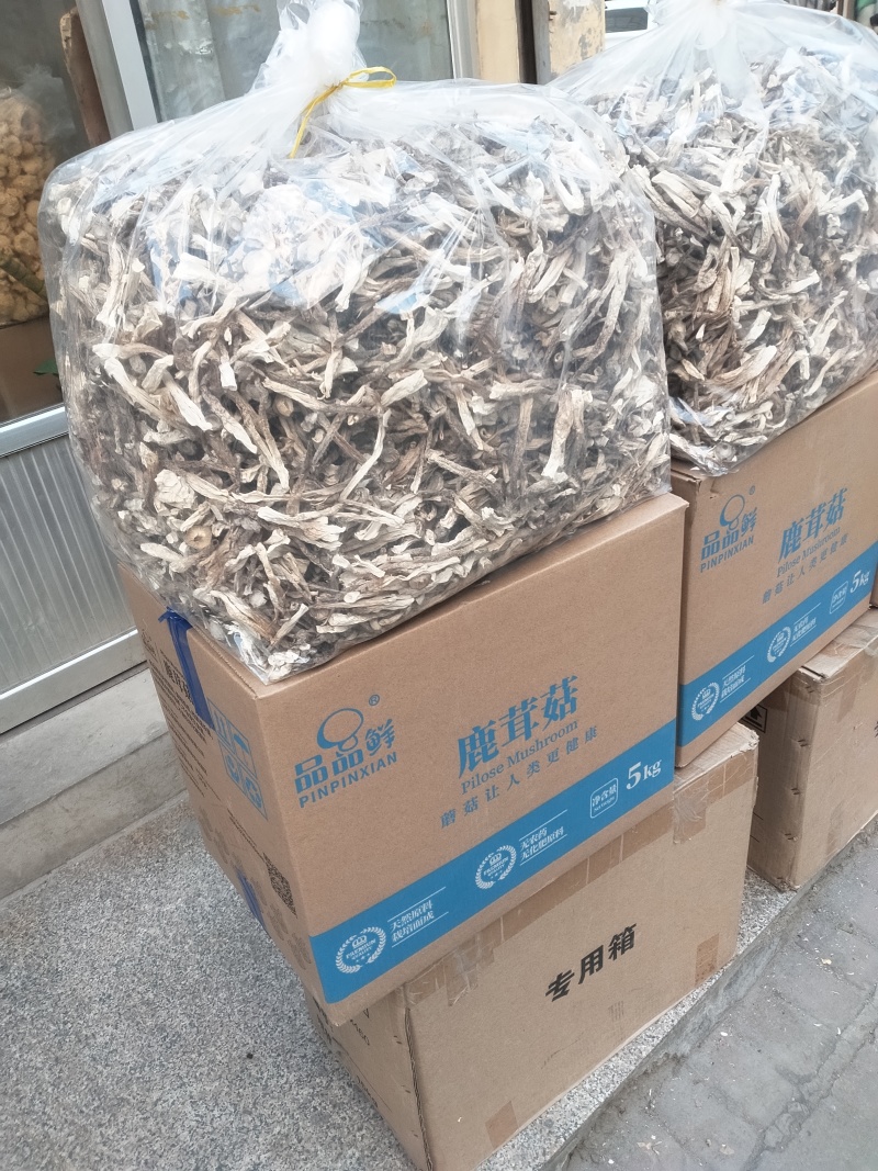 鹿茸菇干货