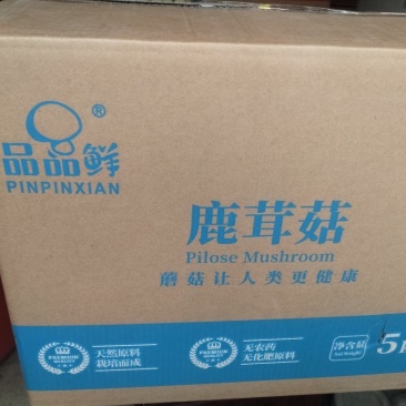 鹿茸菇干货