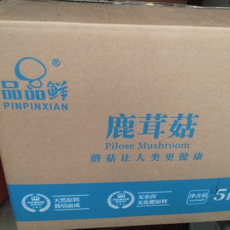 鹿茸菇干货