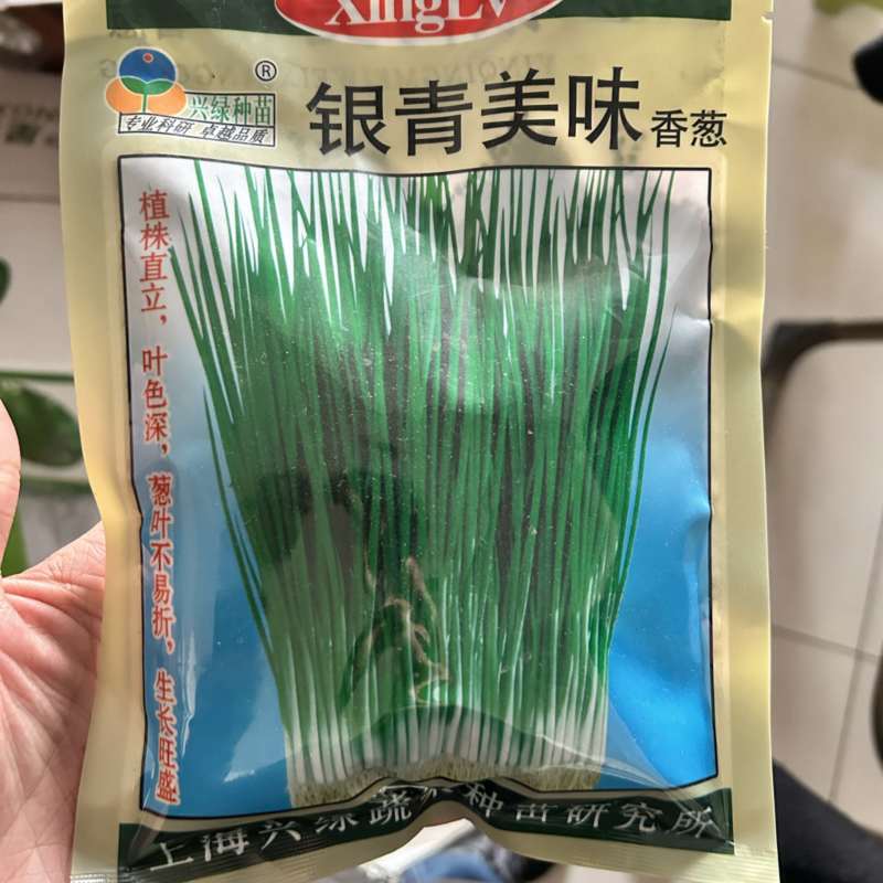 银青美味小香葱种子四季种植香味浓郁高产基地品种