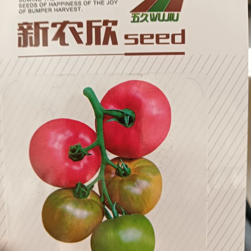 草莓西红柿