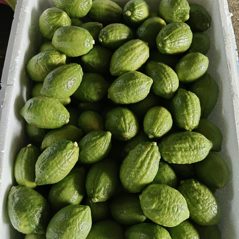 广东无籽香水柠檬自家果园奶茶店专用柠檬