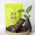 恩施富硒黑茶荷香硒茯砖茶