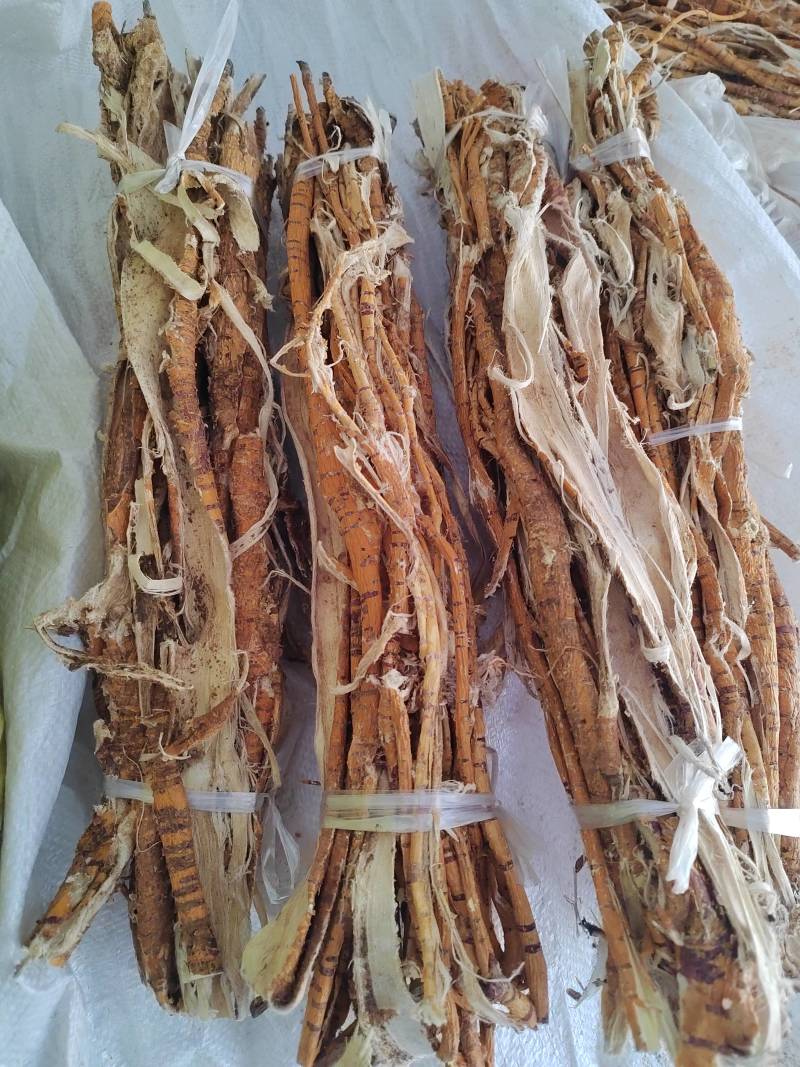 桑白皮，桑树根皮，量大价格可谈，未抽芯也有，欢迎咨询