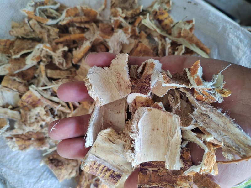 桑白皮，桑树根皮，量大价格可谈，未抽芯也有，欢迎咨询