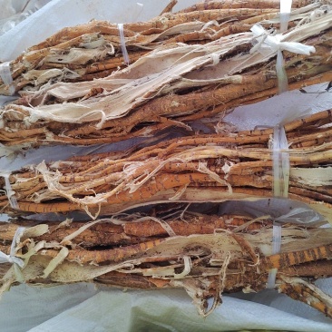 桑白皮，桑树根皮，量大价格可谈，未抽芯也有，欢迎咨询