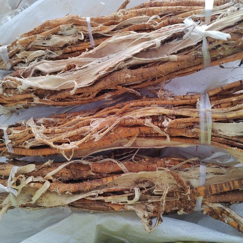 桑白皮，桑树根皮，量大价格可谈，未抽芯也有，欢迎咨询