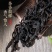 牛栏坑肉桂武夷山乌龙茶正岩茶正宗肉桂茶经典一级浓香型茶叶