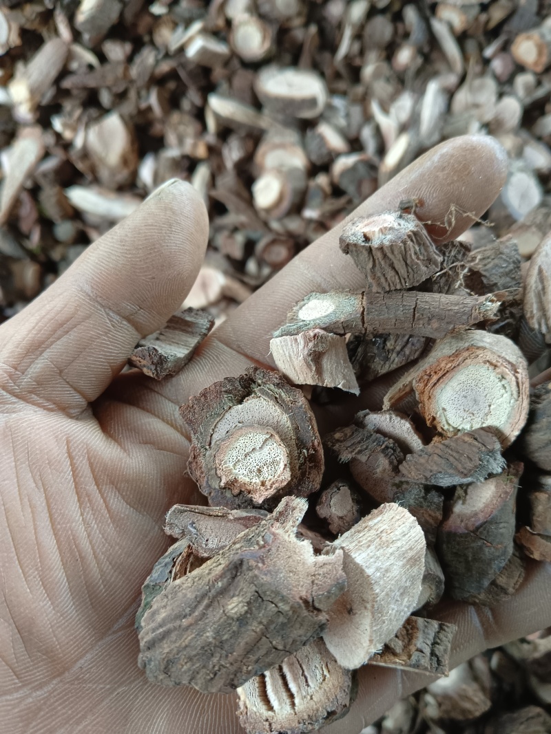 切片海风藤，大血藤，黑老虎切片，贵州本地，欢迎订购