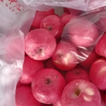 片红占多数，二次果，果优亮，无黑点，