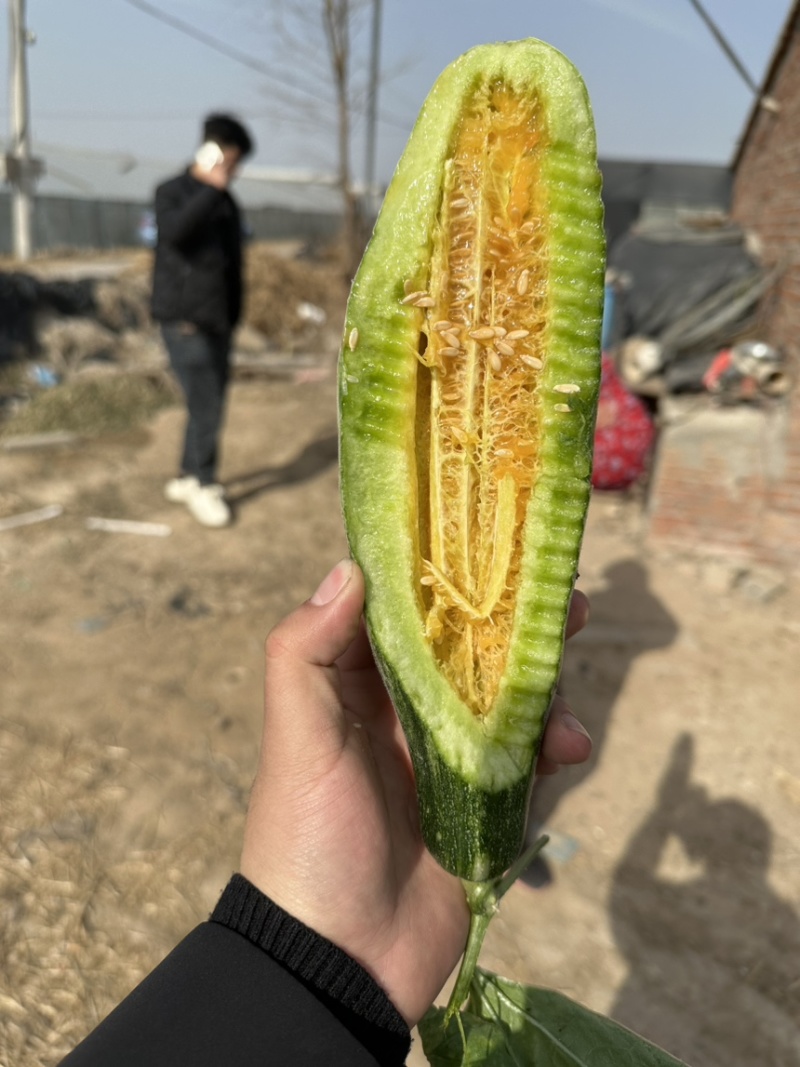 《实力》羊角蜜甜瓜一件代发对接平台商超产地直发