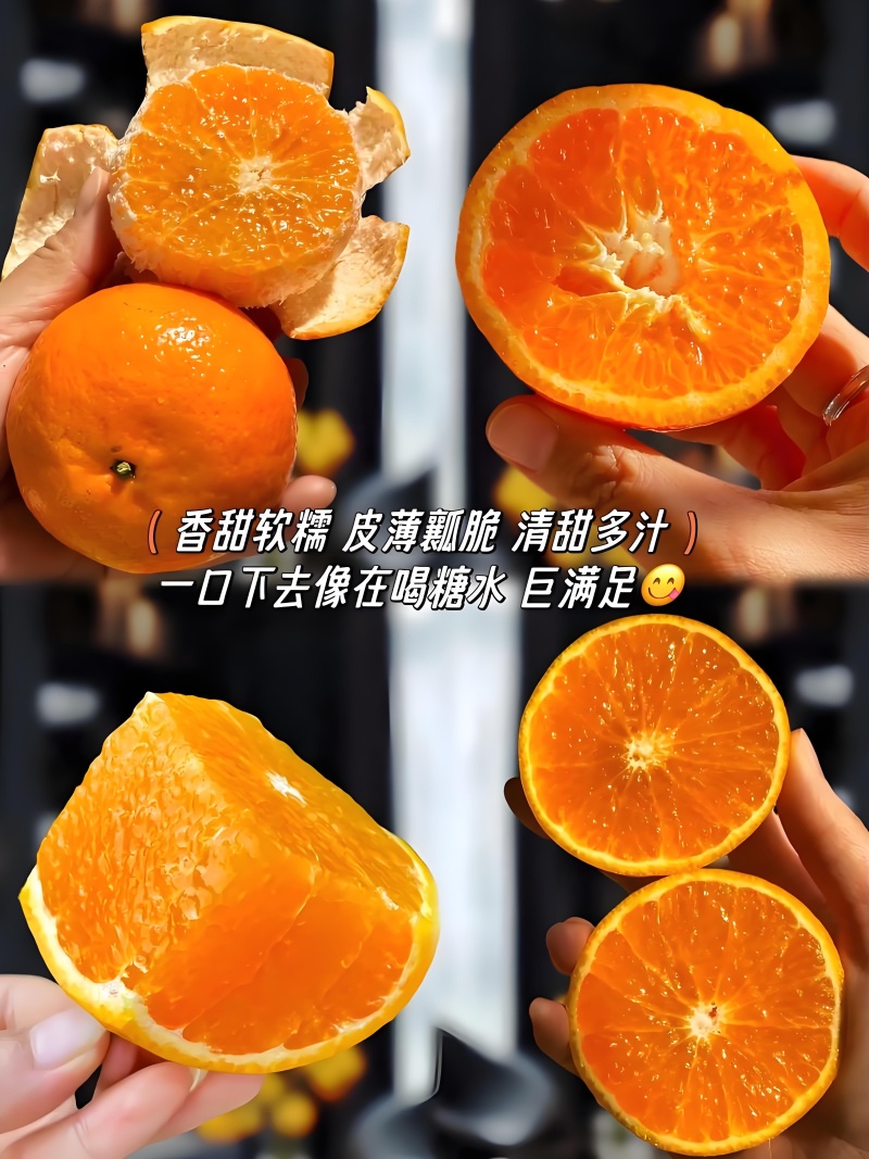 广西武鸣沃柑产地供应以质论价按需采摘包装发货支持整车代发