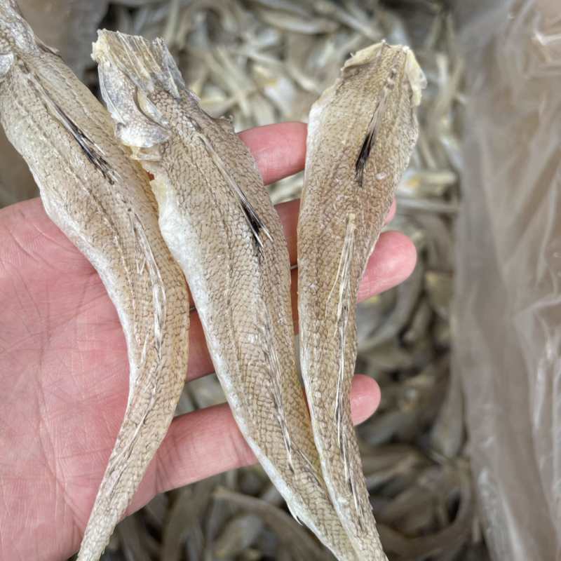 沙丁鱼现货