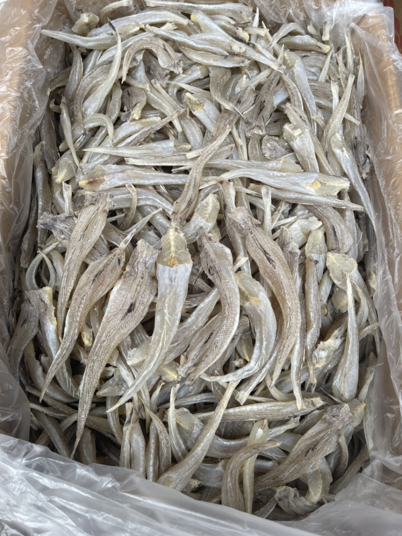 沙丁鱼现货