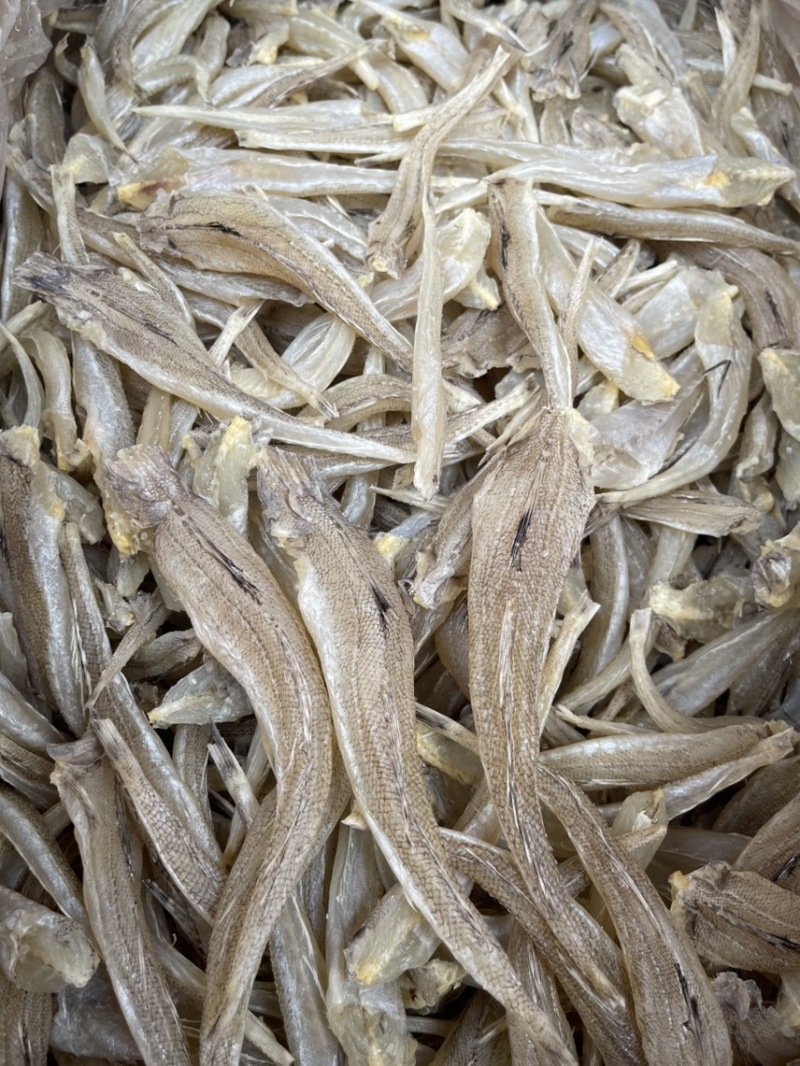 沙丁鱼现货