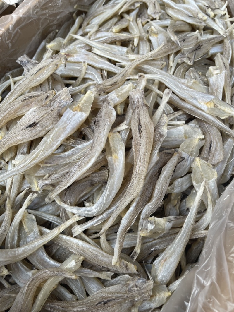 沙丁鱼现货