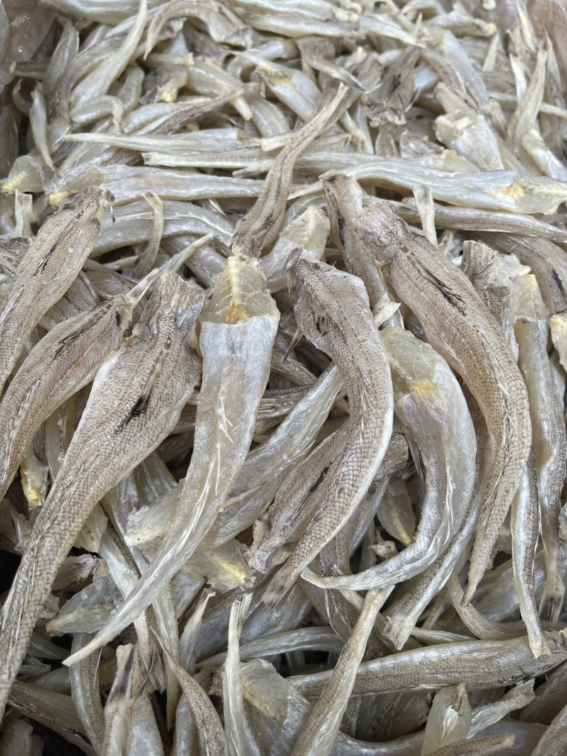 沙丁鱼现货