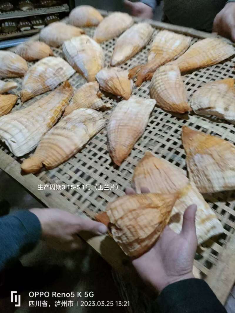 笋干品种多