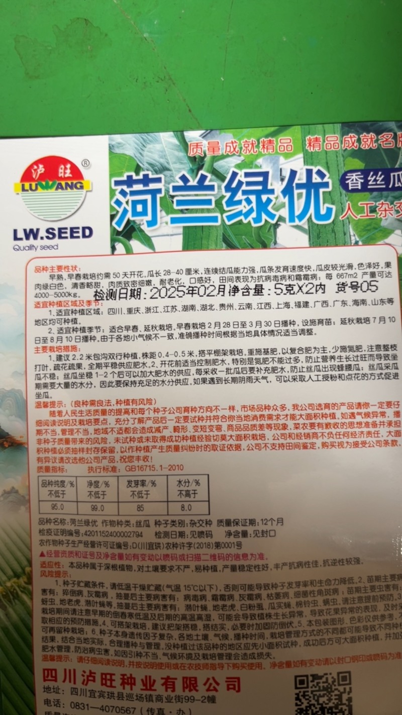 荷兰绿忧香丝瓜杂交品种早熟
