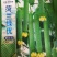 荷兰绿忧香丝瓜杂交品种早熟