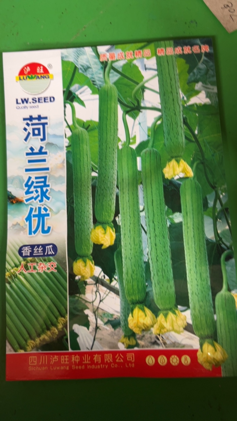 荷兰绿忧香丝瓜杂交品种早熟