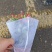 虎刺梅