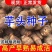芋头种8520脱毒高产，产地一手货源，保质保量，全国发货
