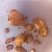 鸡宝售卖